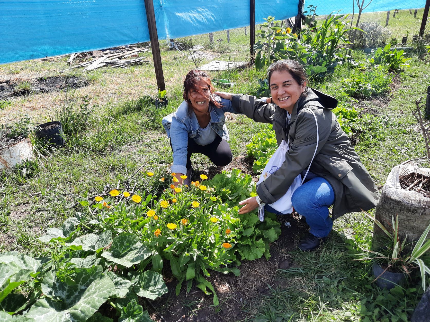 Entrepreneurship project Organic garden in Argentina II